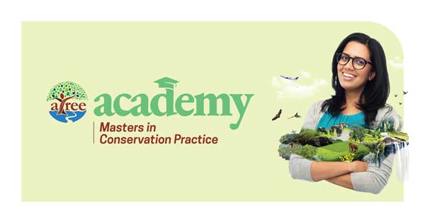 Masters in Conservation Practice