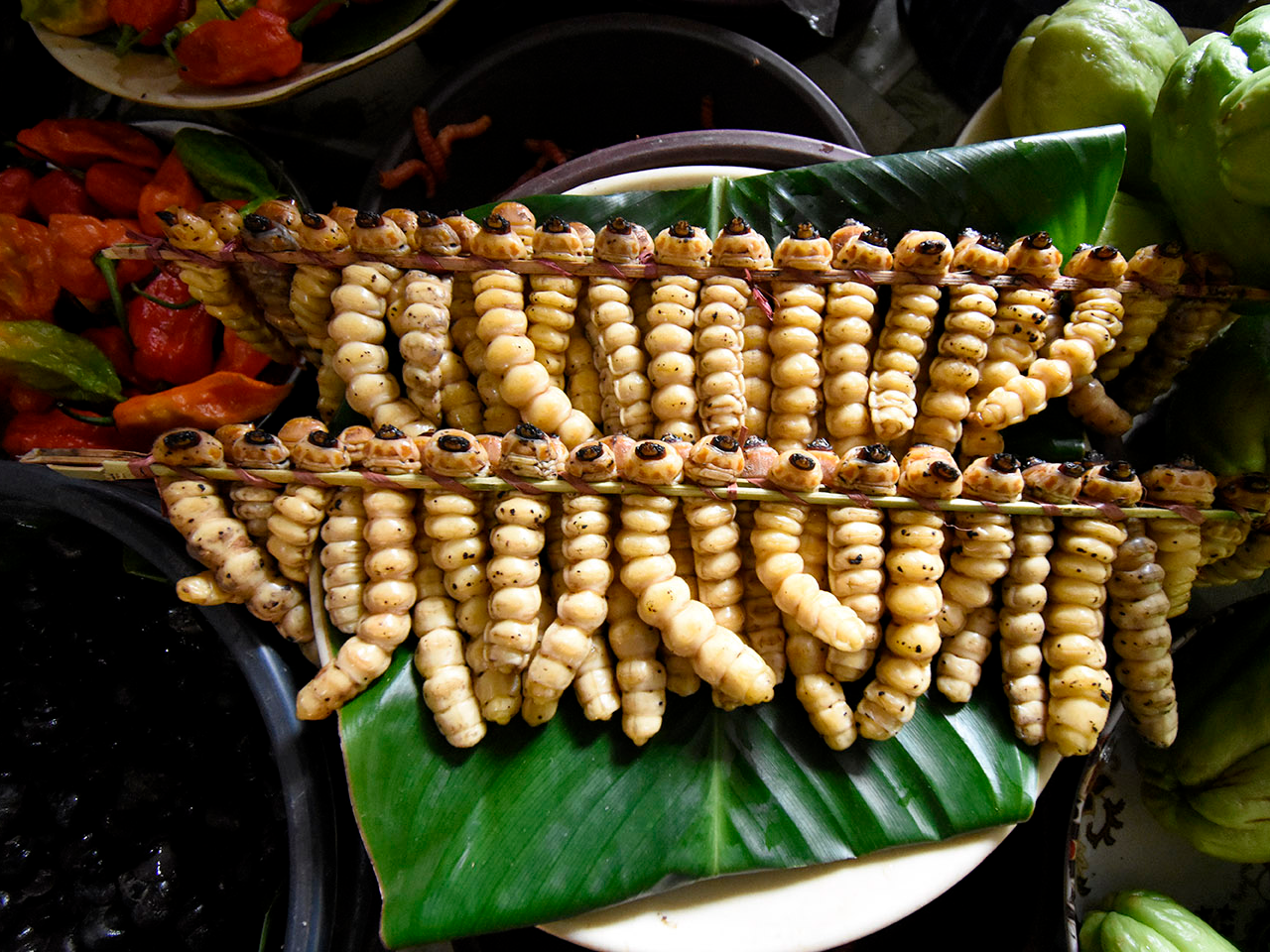 Workshop for government officials on Biological Diversity Act