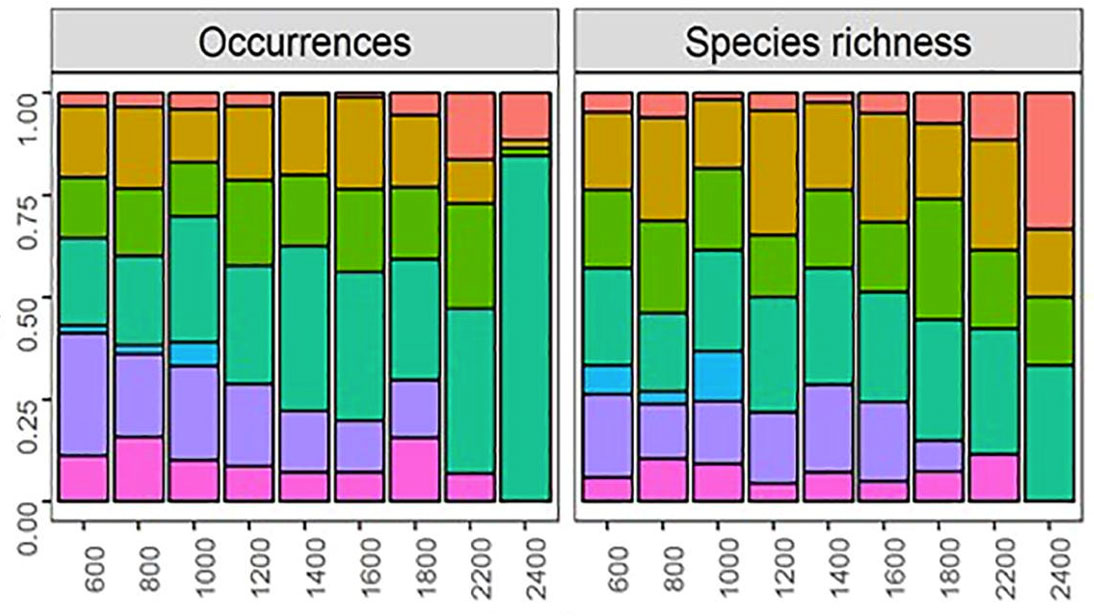 Species and functional group composition of ant communities across an elevational gradient in the Eastern Himalaya