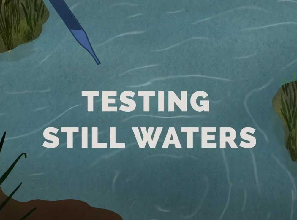 Testing Still Waters