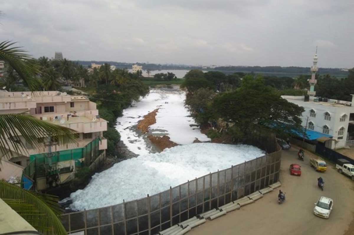 Chudasandra-Lake-Restoration-Bengaluru