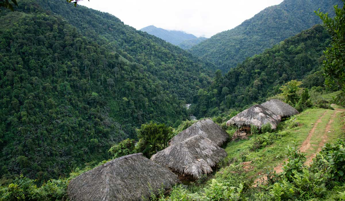 Conservation-of-Community-owned-forests-and-biodiversity-in-Siang-and-Dibang-Valley
