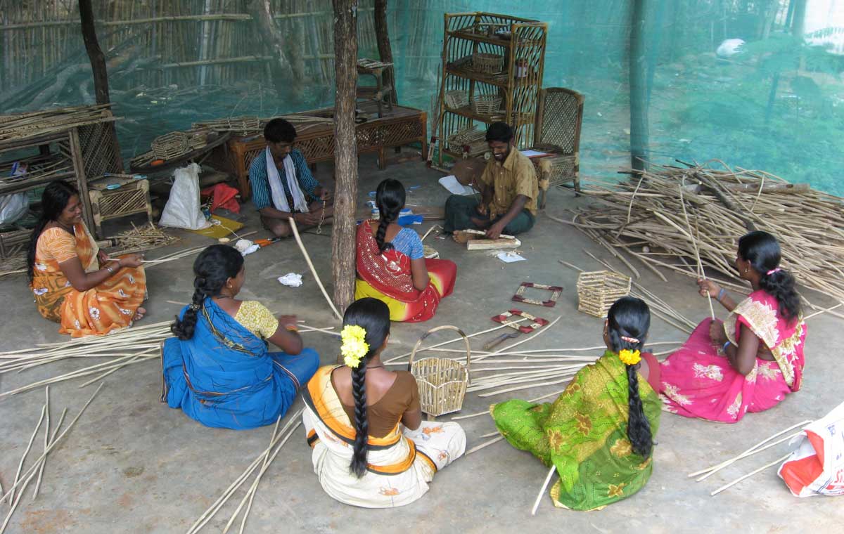 Developing-alternative-uses-of-Lantana-and-its-ecological-impact-in-Malai-Mahadeswara-Wildlife-Sanct