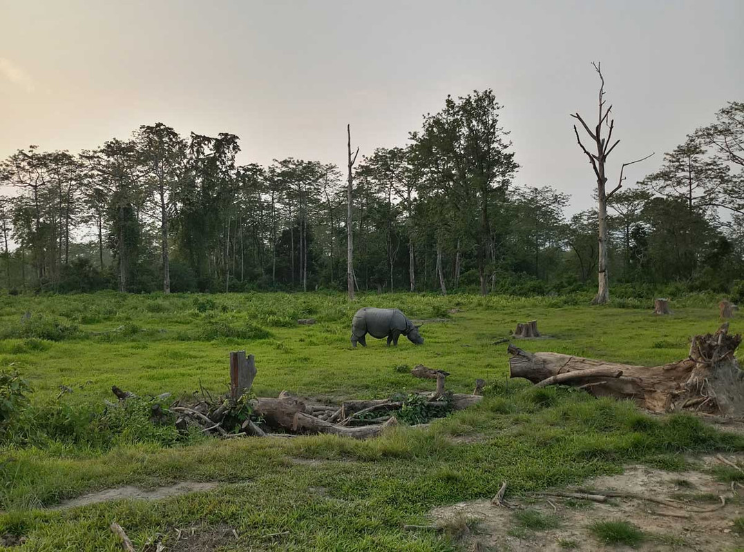 Occupancy-and-resource-use-by-mammals-in-the-socio-ecological-production-landscape-of-Darjeeling-Sik