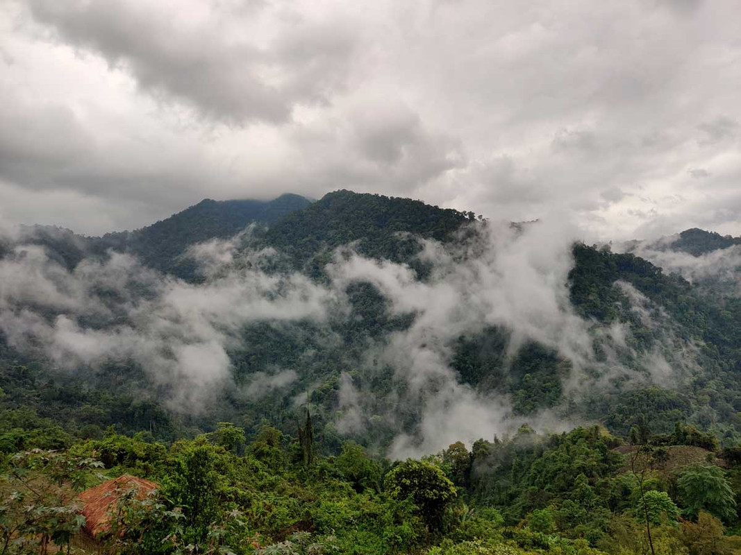 Plant-Diversity-Exploration-in-the-Eastern-Himalayas