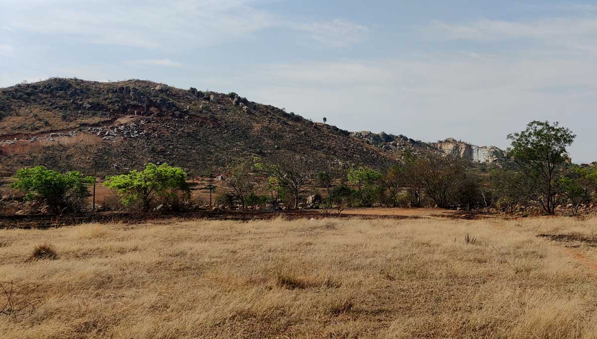 Restoring-Degraded-Natural-Habitat-near-Bengaluru-to-combat-Climate-Change