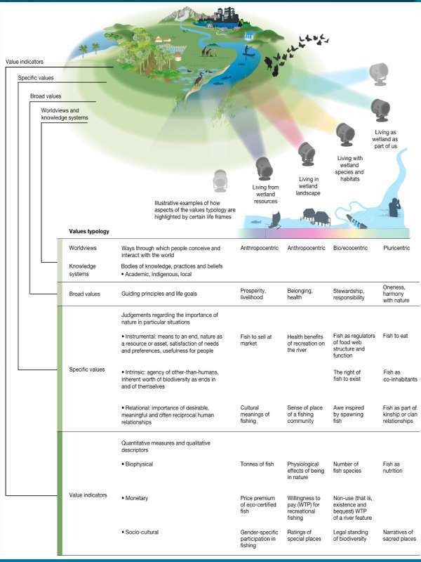 diverse values of nature