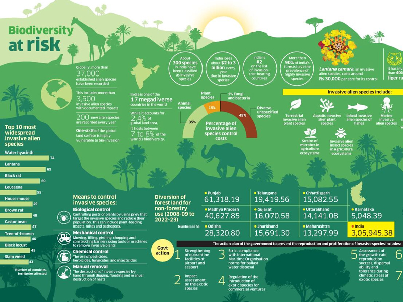 tackling invasive species