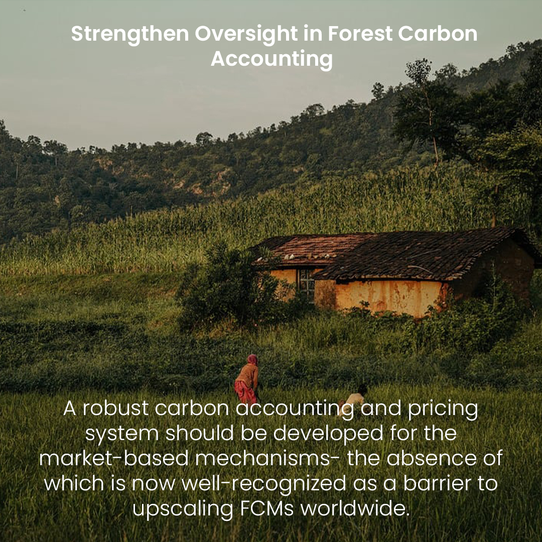 Forest carbon marketSlide4