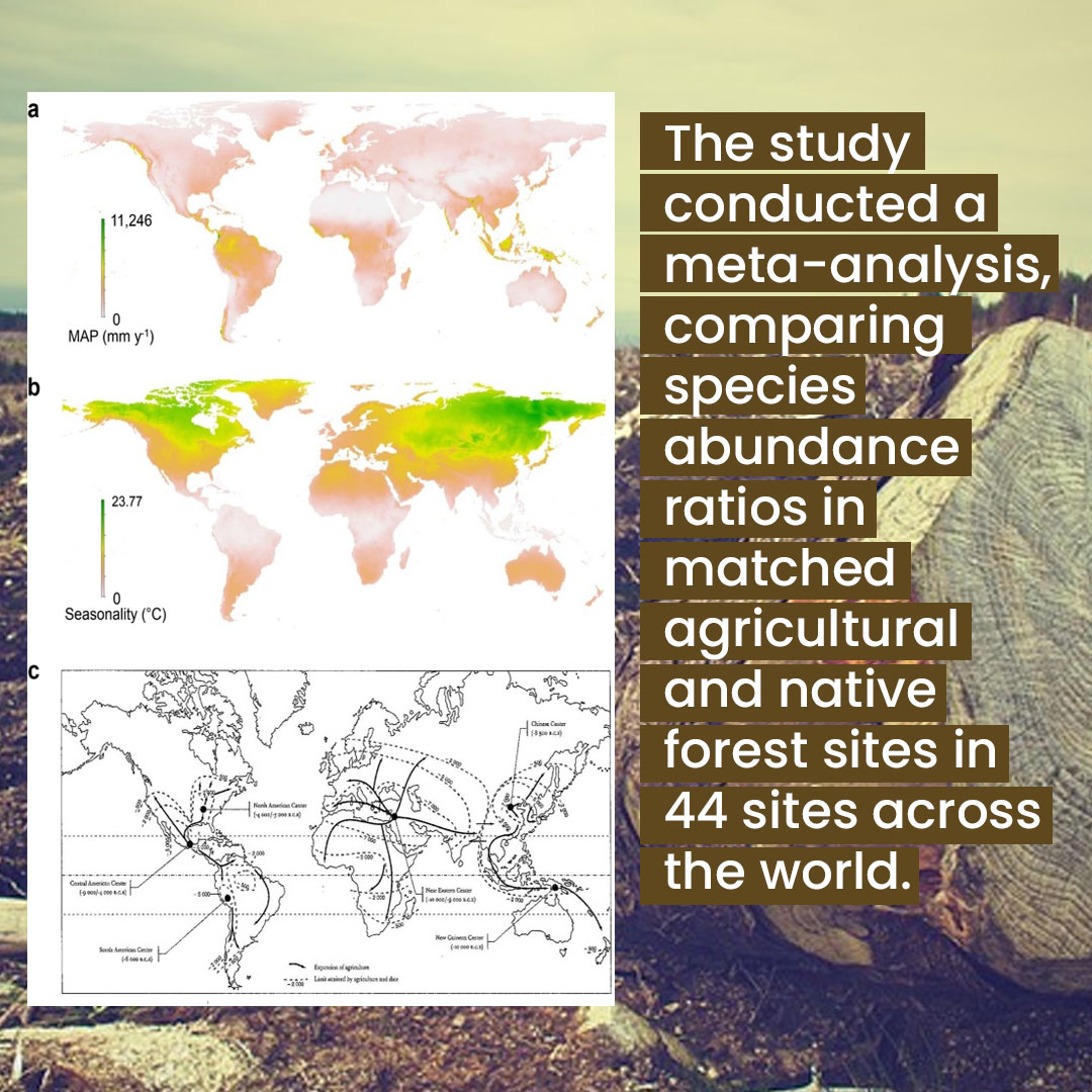 Impacts of agricultural deforestation_Slide3