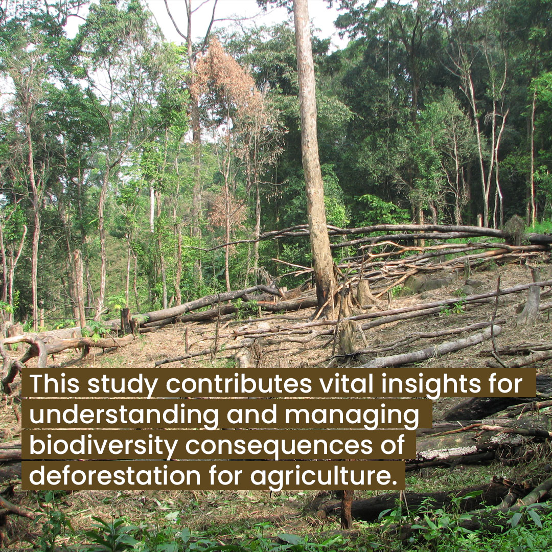 Impacts of agricultural deforestation_Slide6