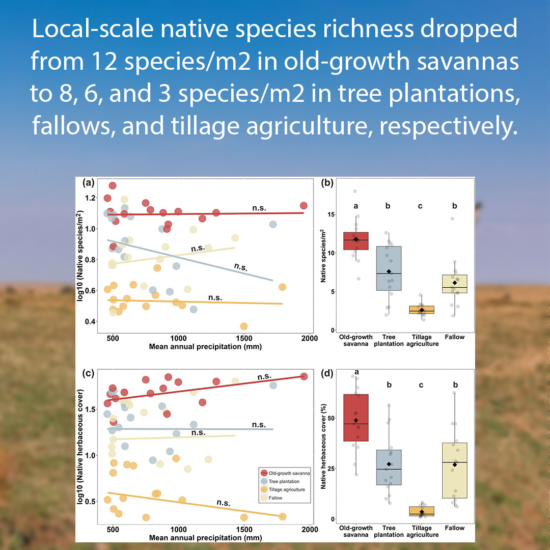 Tillage agriculture and afforestationSlide5