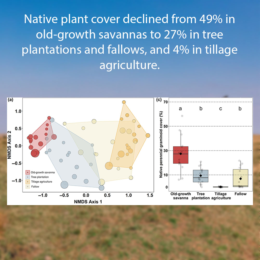 Tillage agriculture and afforestationSlide6