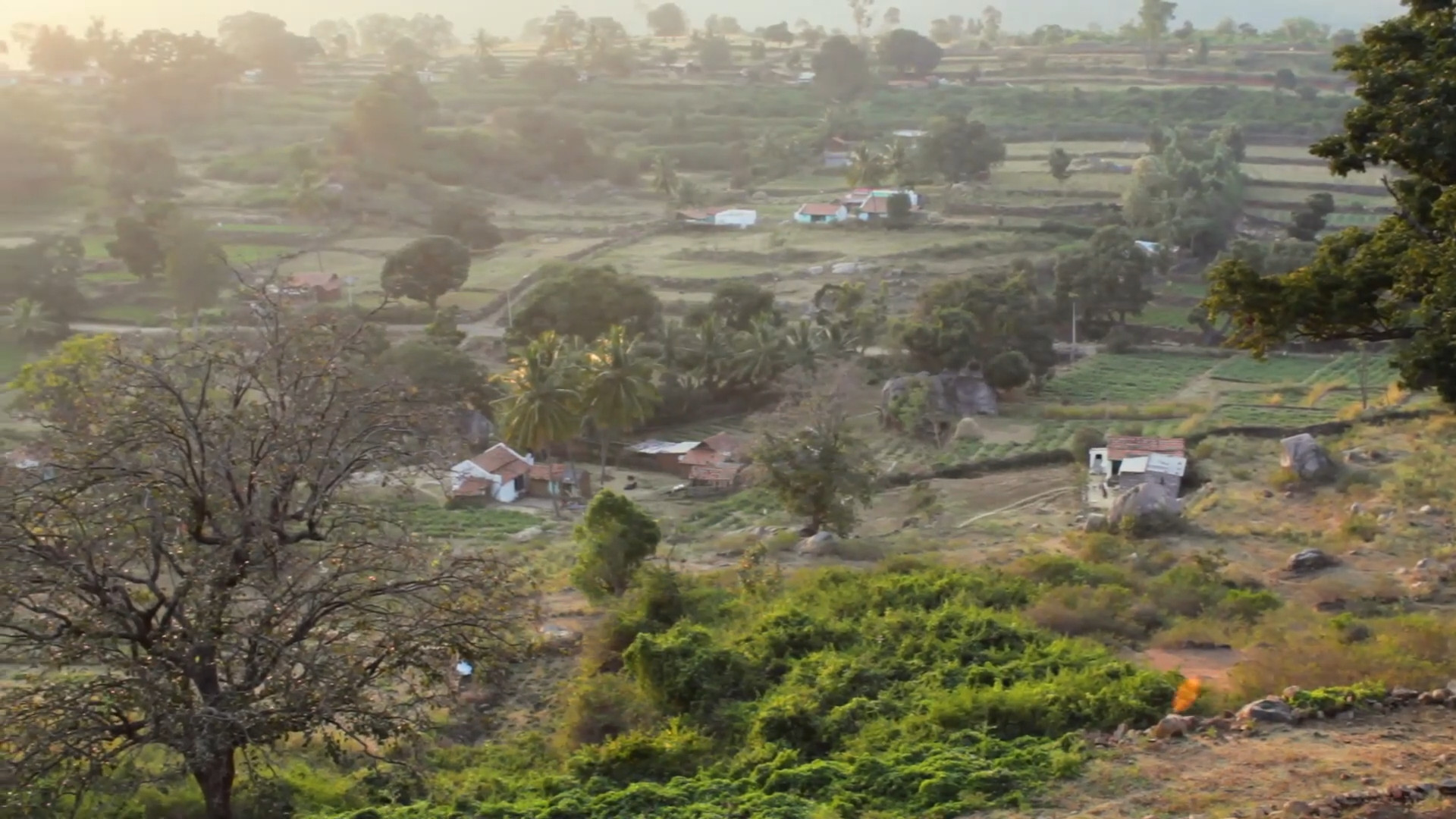 Our work with the local Soliga community around BRT