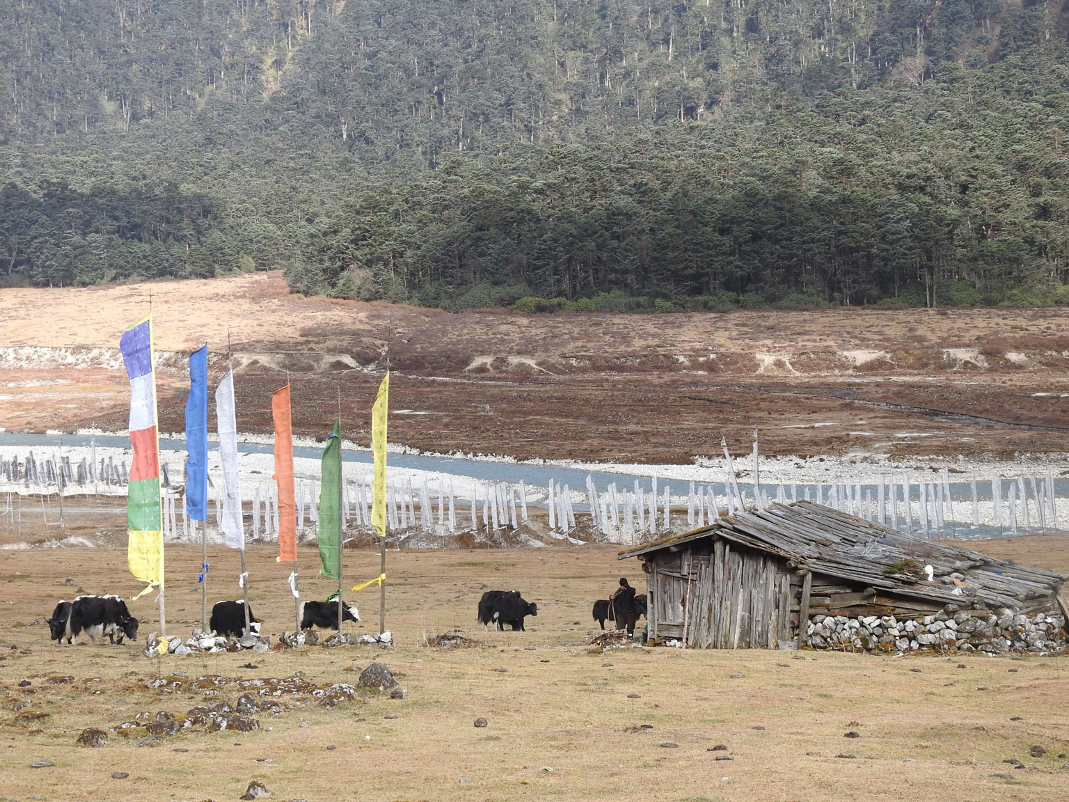 Managing-Rangelands-for-Multiple-Benefits-in-India