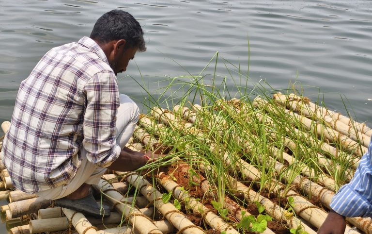 Peri-Urban lake restoration