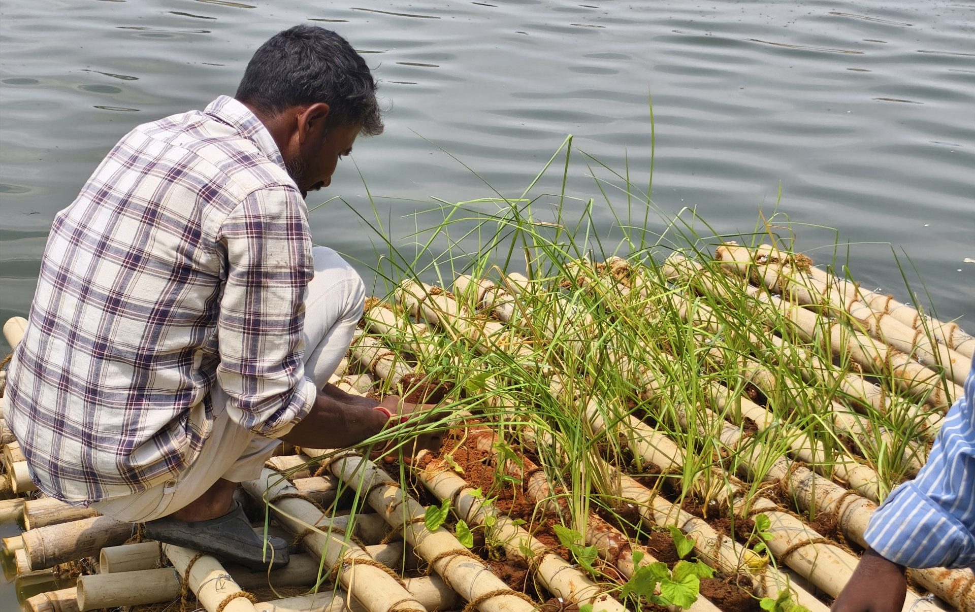 Peri-Urban lake restoration