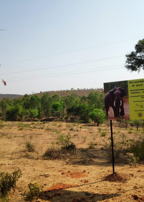 1.-A-board-erected-on-land-purchased-to-strengthen-an-elephant-corridor-adjoining-the-Biligiri-Rangaswamy-Wildlife-Sanctuary-and-Tiger-Reserve-scaled-7