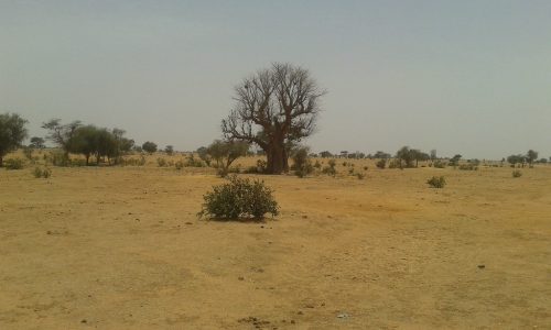 14287838162_43cc14290f_b