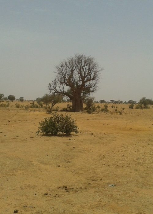 14287838162_43cc14290f_b