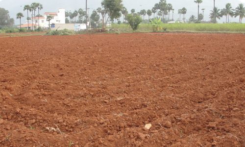 1600px-A_red_soil_crop_field-1200x800