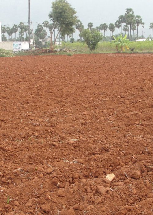 1600px-A_red_soil_crop_field-1200x800