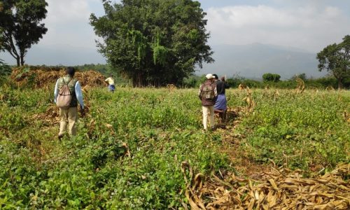 2.-Forest-department-officials-a