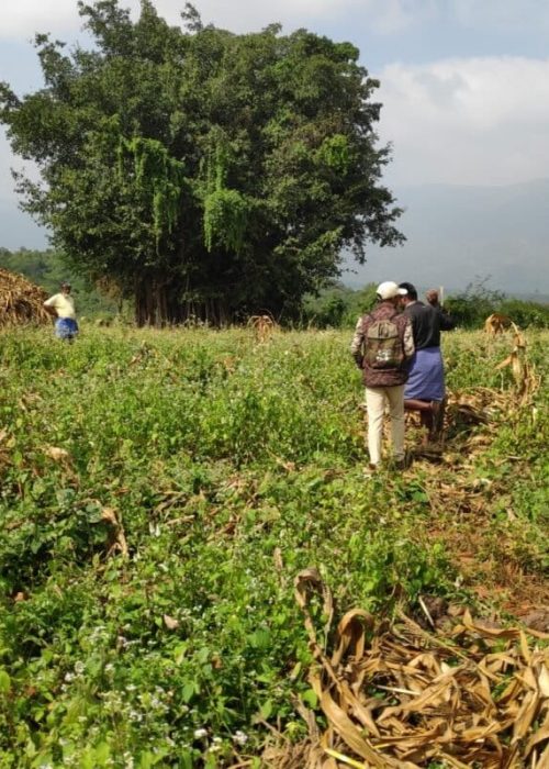 2.-Forest-department-officials-a