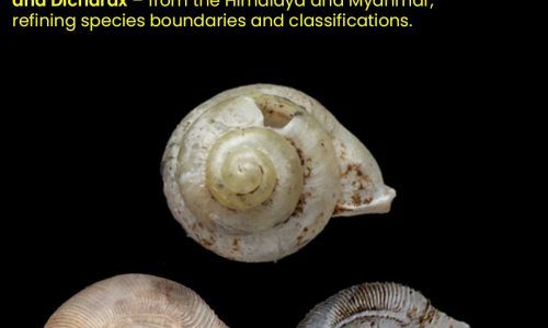 612069964_18423047737143421_2505