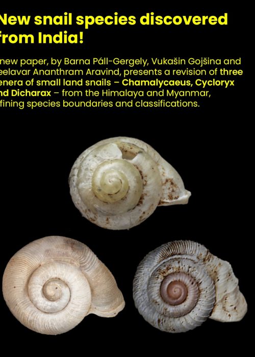 612069964_18423047737143421_2505