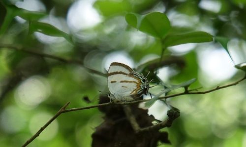 68f9ab96e6934-women-in-poorer-na (1)