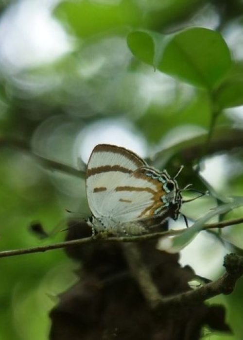 68f9ab96e6934-women-in-poorer-na (1)