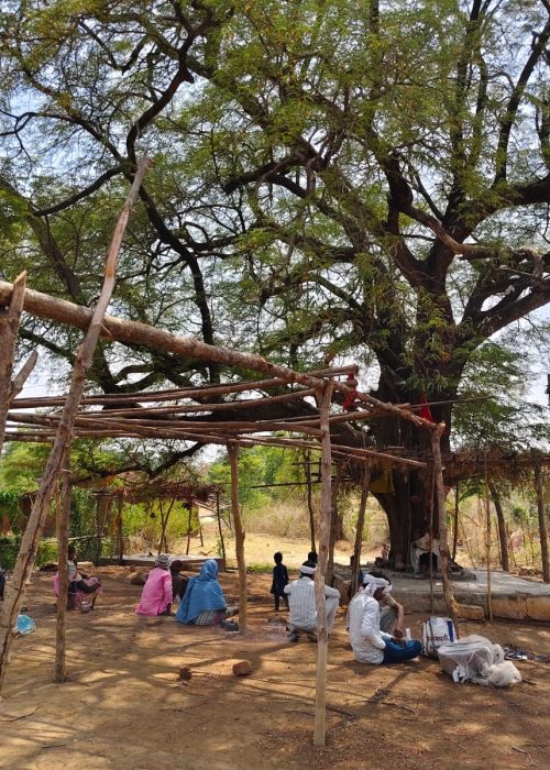 A-check-post-of-Forest-department_-Credit-Shyam-Belavanshi