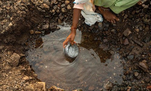 Droughts Can Drive Antibiotic Resistance in Soil Bacteria, Research Finds