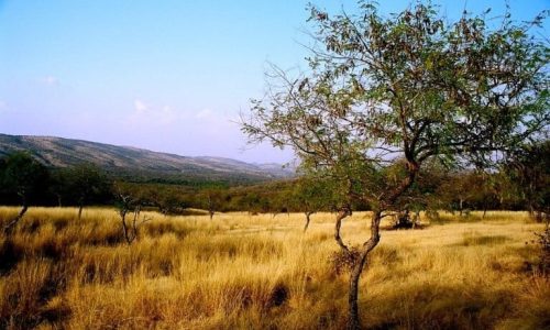 Aravali_range_inside_Ranthambhor