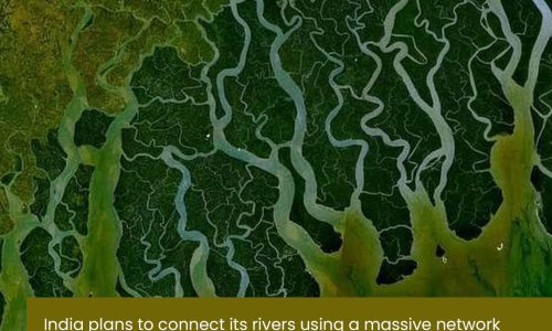Connecting Basins, Risking BiotaArtboard 1