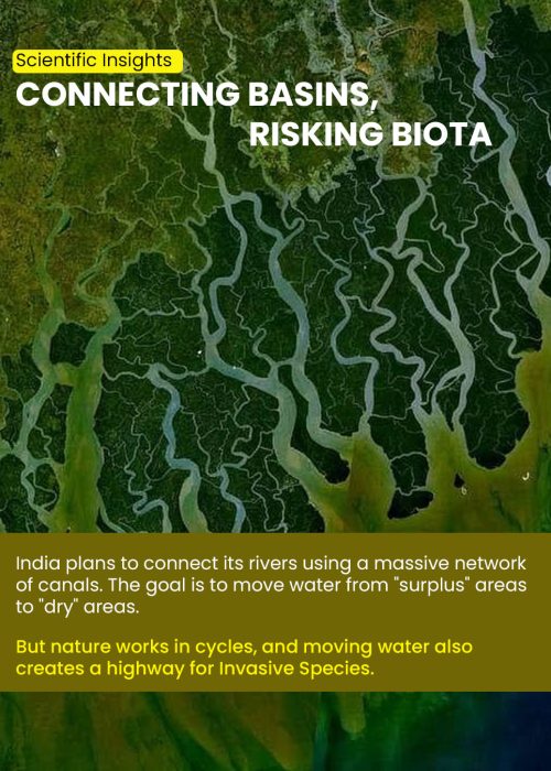 Connecting Basins, Risking BiotaArtboard 1