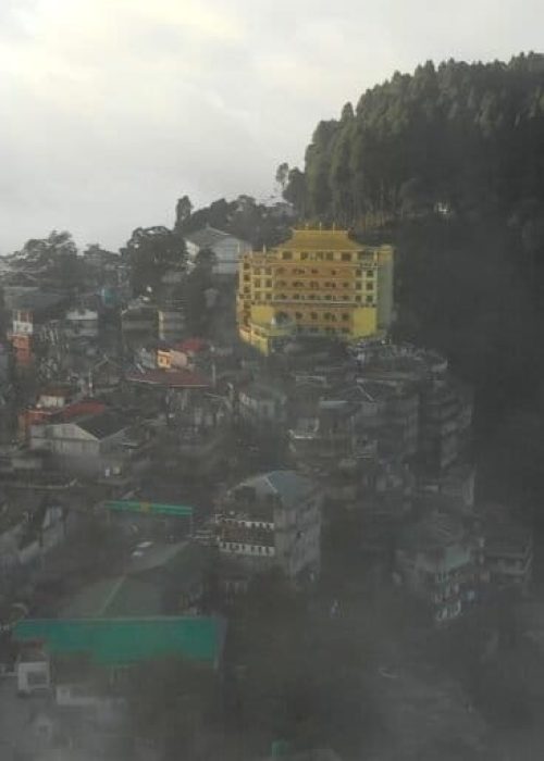 Figure-2b-e1761543053352-768x512 (1)