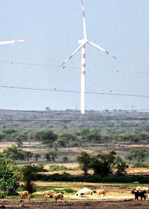 IMG_INDIA-ENVIRONMENT-EN_2_1_5TD