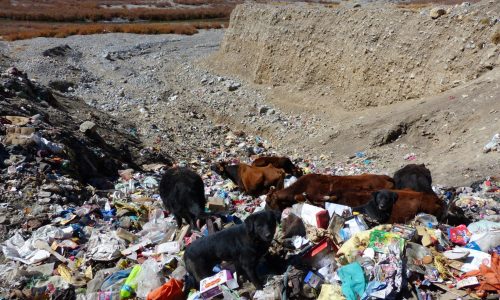 Image-3-garbage-dump-in-Kaza-scaled-1