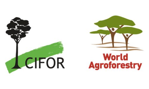 International-Centre-for-Research-in-Agroforestry_22