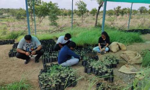 It-is-spearheaded-by-The-Grasslands-Trust-in-colla_1752433597584-7