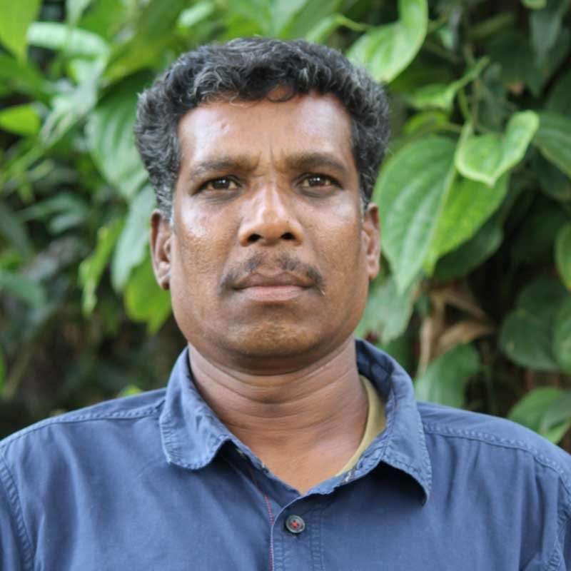 Jadeswamy