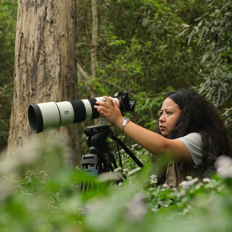 Jayshree-Borgohain