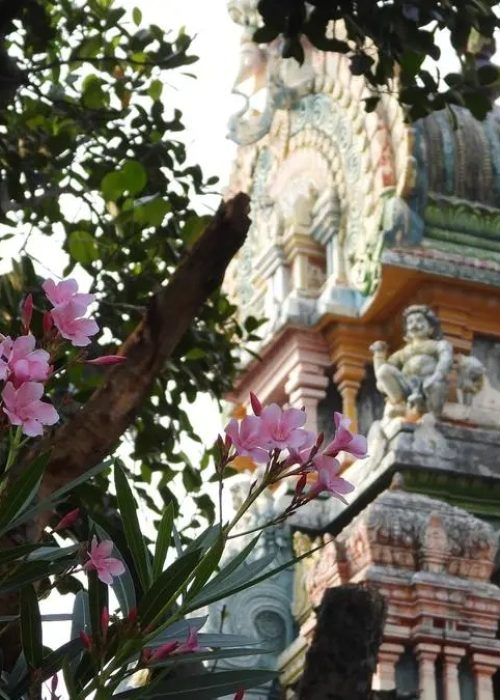 Kalakad Sathyavageeswarar Temple