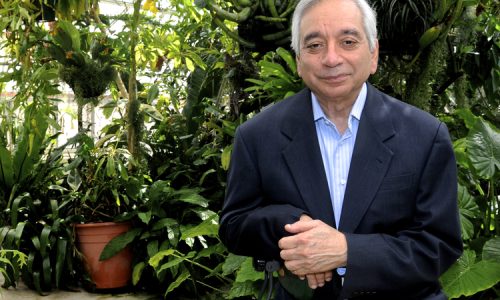 Kamal-Bawa-Amazon