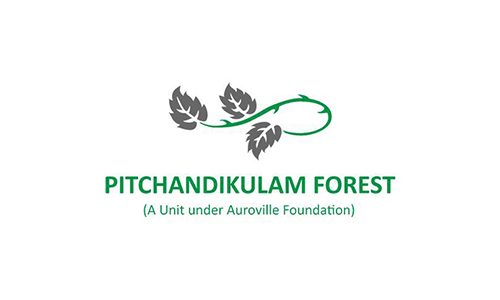 Pichandikulam Forest Consultant