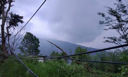 Pipes-crisscross-Sikkims-undulating-landscape-but-not-everyone-has-unfettered-access-to-freshwater.-Abriti-Moktan