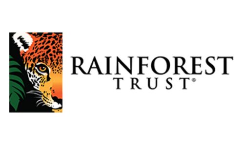 Rainforest-Trust_35