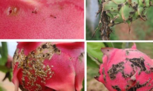 Screenshot 2025-11-07 115730